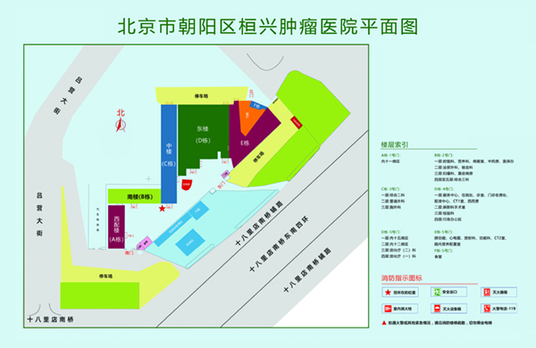 操骚逼国产北京市朝阳区桓兴肿瘤医院平面图